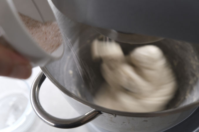 Pizza with Sourdough Kneading - mixer