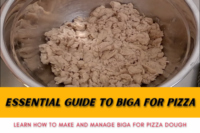 Essential guide to biga for pizza Learn how to make biga pizza dough