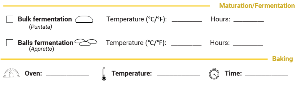 pizza fermentation and baking notes